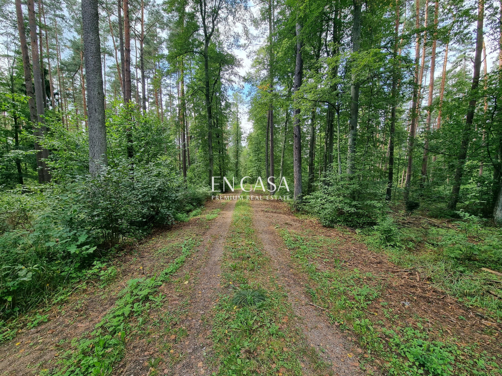 Plot Sale Orzyny 4